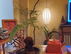 点击看大图 -栖木行空·女子定制美肤·芳香疗愈SPA