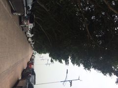iphone_upload_pic-大湾区中央湿地公园