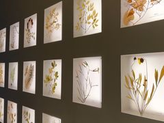-予厘·推拿按摩·精油SPA(憩舍长安店)