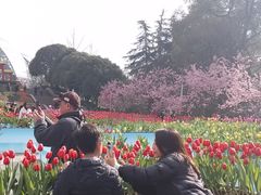 -南山植物园