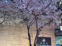 -翠山·映月湖景餐厅(映月湖公园店)