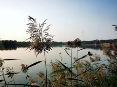 -西青郊野公园