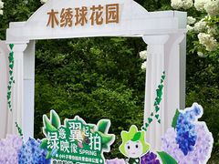 -上海共青森林公园