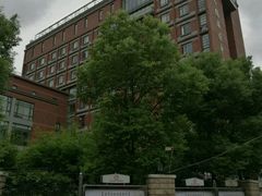 -上海市杨浦区中医医院