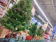 -麦德龙(郑东店)