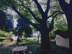 -松江清真寺