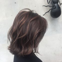 -蚂蚁造型沙龙
