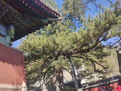 -红螺寺