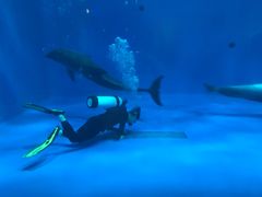 -华夏文旅海洋公园