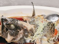 -新海渔港·胶东海鲜家常菜·家宴(奥体中心店)