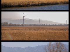 -野鸭湖国家湿地公园