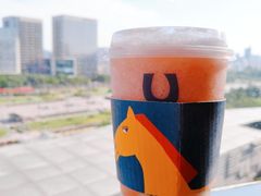 桃桃卡士-春丽小马(济南恒隆广场店)