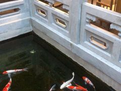 -鲤院·新中式美学·庭院餐厅(夫子庙店)