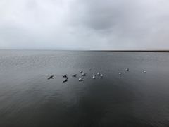 -青海湖仙女湾景区