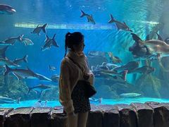 -多彩贵州城极地海洋世界