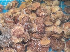 -和源祥·日照菜扛把子(万平口一店)