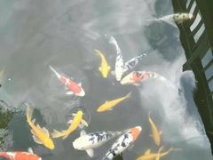 -天水火车站