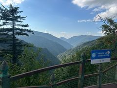 -凤凰山国家森林公园