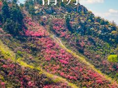 -木兰云雾山