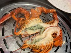 波士顿龙虾（约2斤/只）-日进一片海.生腌海鲜火锅.宵夜烧烤(三里屯总店)
