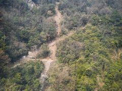 -东天目山风景区