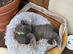 -富桂厨房
