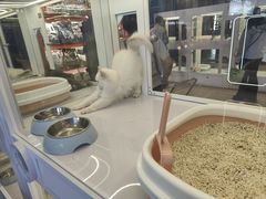 -太原茂业天地购物中心