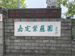 -嘉定紫藤园