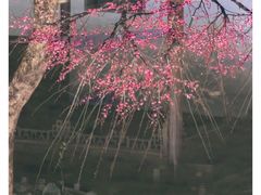 -郭庄景区