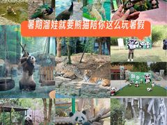 -五龙山野生动物王国