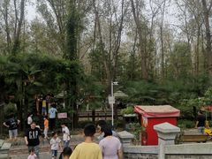 -合肥滨湖国家森林公园