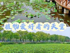 -翠湖国家城市湿地公园