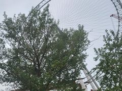 -南戴河国际娱乐中心
