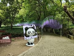 -宝岩生态观光园