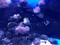 -泉城欧乐堡海洋极地世界