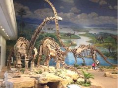 -自贡恐龙博物馆