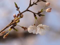 -苏州太湖国际会议中心