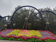 -呀路古热带植物园