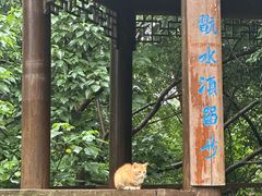 -敬亭山风景名胜区