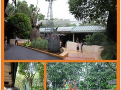 -新加坡飞禽公园