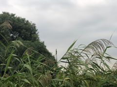 -喜洋洋蟹庄(阳澄湖店)