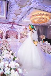 -曼格纳婚礼艺术中心(张江店)