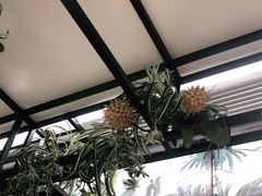 -拾里椰乡·海南椰子鸡(珠影星光城店)