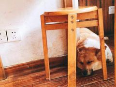 -阿木舂记·特色小吃(平江路店)