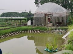 -美家乐农庄·露营·团建(大治路店)