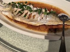 -金美华轩(东方路齐鲁店)