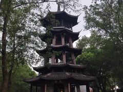 -西溪国家湿地公园