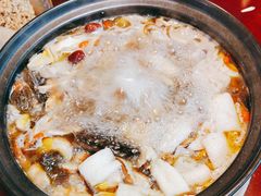 -蘑统田下·野生菌火锅