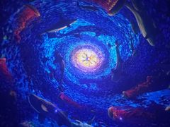 -海合安武汉极地海洋公园