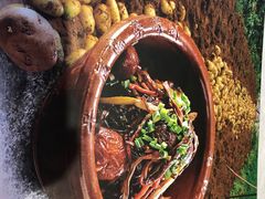 -食家鸽园